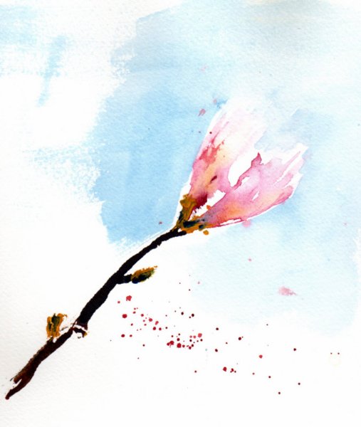 magnolia2.jpg