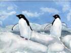 pinguiner_small.jpg