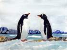 pinguinsamtal_small.jpg