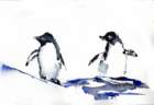 pinguinungar_small.jpg
